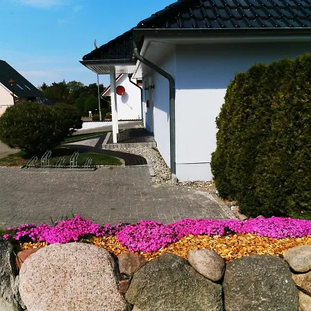 Sun House *
