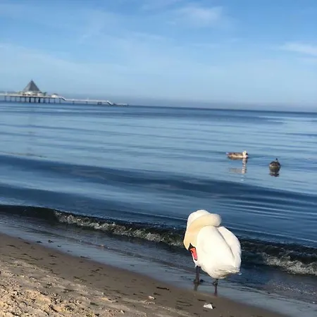 Apartmán Sun House *