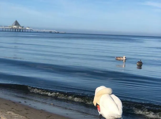 דירה Sun House *